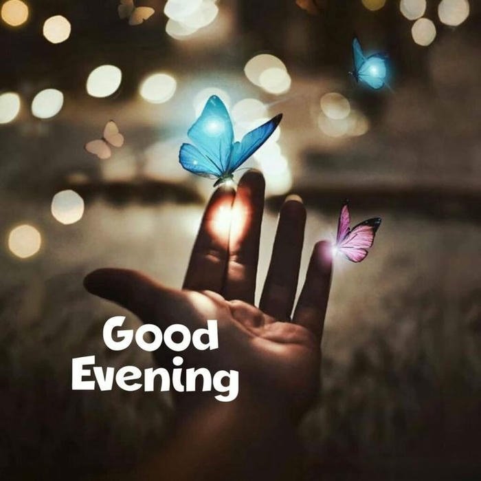 Hand holding butterfly magical lights evening love nature art.