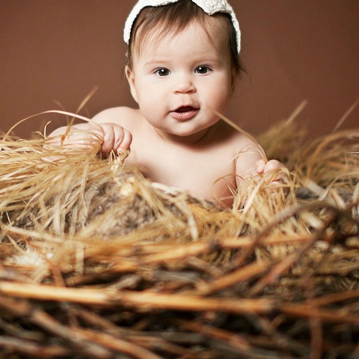 Love cute baby images straw nest basket nature view