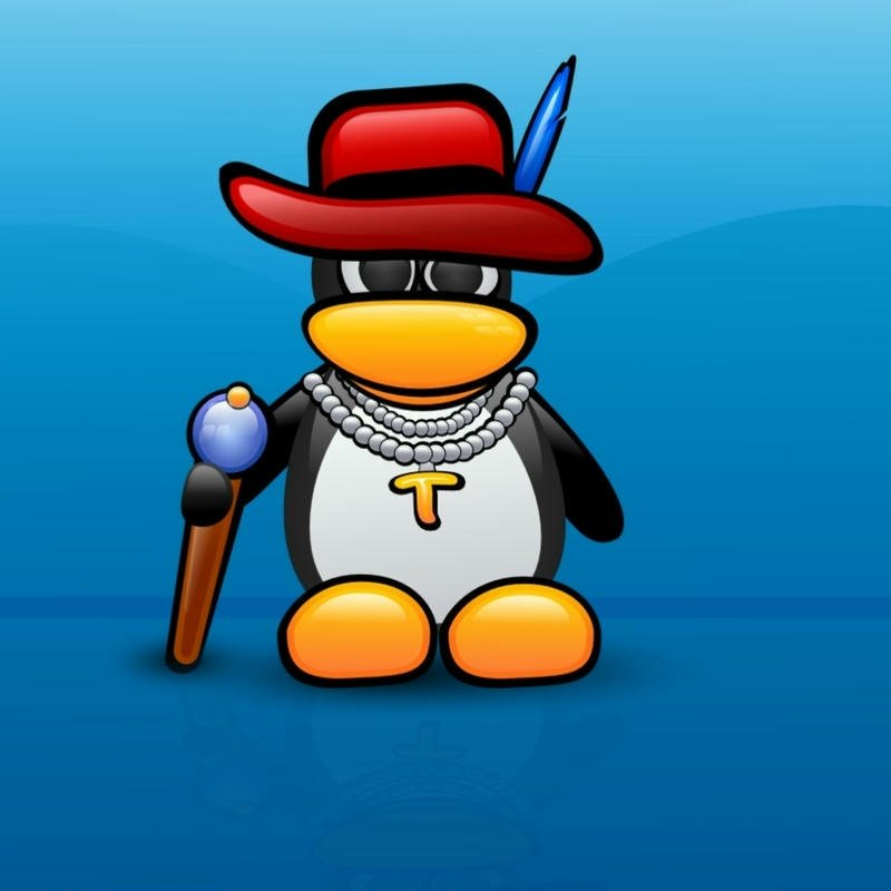 Penguin dp cartoon character wearing red fedora hat style