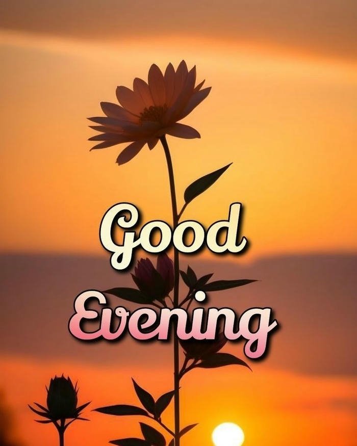 Sunset flower silhouette beautiful evening nature orange sky view.