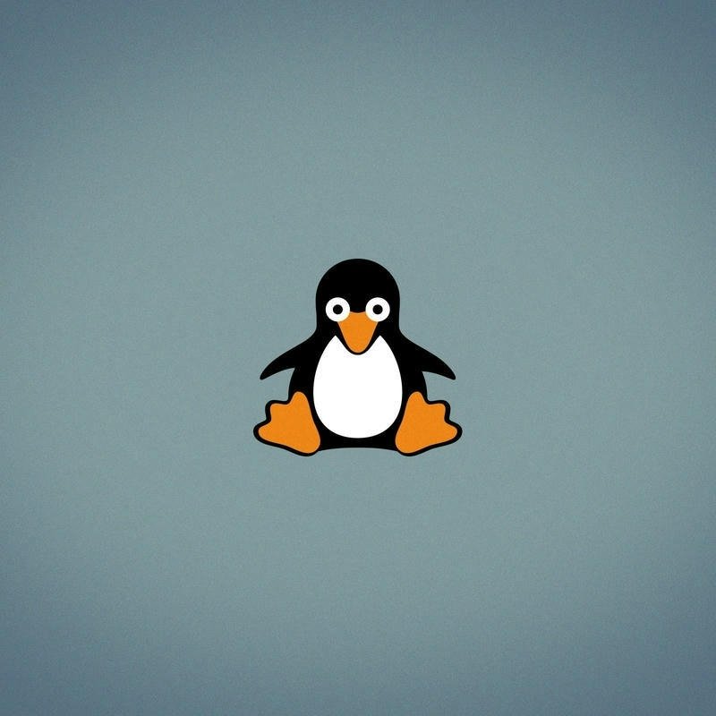 Tiny penguin vector sitting alone on grey background