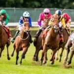 keo-du-doan-chon-ngua-doc-toc-do