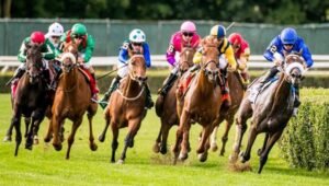 keo-du-doan-chon-ngua-doc-toc-do