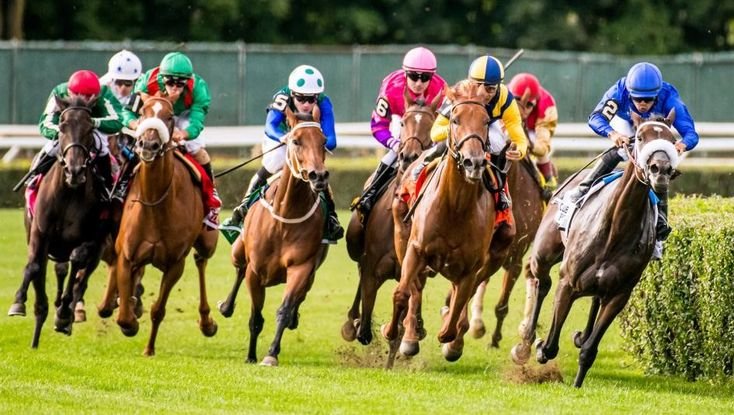 keo-du-doan-chon-ngua-doc-toc-do