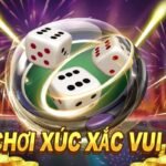 meo-cuoc-tai-xiu-online-dua-tren-kiem-soat-rui-ro