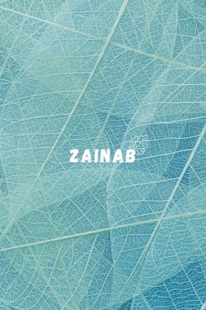 silent bloom zainab name dp look