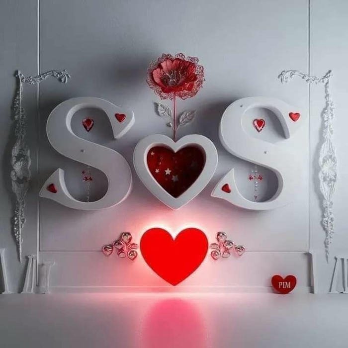 ss name dp subtle luxury feel