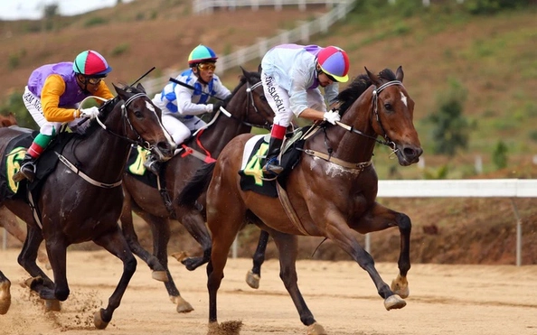 uu-dai-dong-hanh-mon-qua-nho-giu-chan