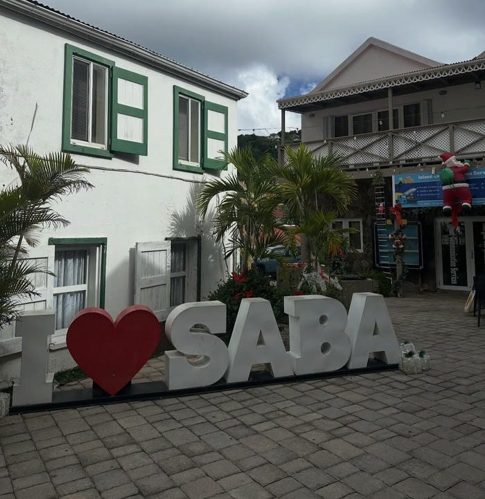 Dream girl profile portrait saba name dp