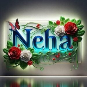 timeless aura sealed inside neha name dp