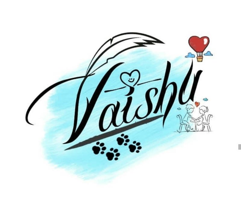 Charming Vaishu name dp elegant profile inspiration